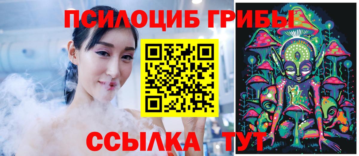 Галлюциногенные грибы Magic Shrooms Заречный