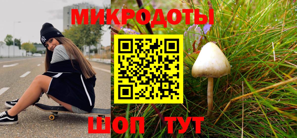 Псилоцибиновые грибы Cubensis  Псилоцибиновые грибы Psilocybe  Заречный  купить наркоту  Вход с VPN 